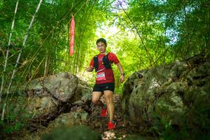 BIB: 
                            <button type="button" onclick="openModal(22087902)" class="btn btn-primary btn-sm float-right btn-popup" data-toggle="modal" data-target=".modal-high-quality">
                        <i class="fas fa-shopping-cart"></i> Add to Cart
                    </button>
                                            <button type="button" onclick="isThisMe(22087902, true)" class="btn btn-success btn-sm float-right btn-popup btn-isme hidden" data-toggle="tooltip" data-placement="bottom" title="นี่คือรูปของคุณใช่ไหม คลิกที่นี่เพื่อเอาเข้าอัลบั้ม">
                        <i class="fas fa-plus"></i> Add to album
                    </button>
                    <button type="button" onclick="isThisMe(22087902, false)" class="btn btn-warning btn-sm float-right btn-popup btn-isnotme hidden">
                        <i class="fas fa-ban"></i> Remove from album
                    </button>